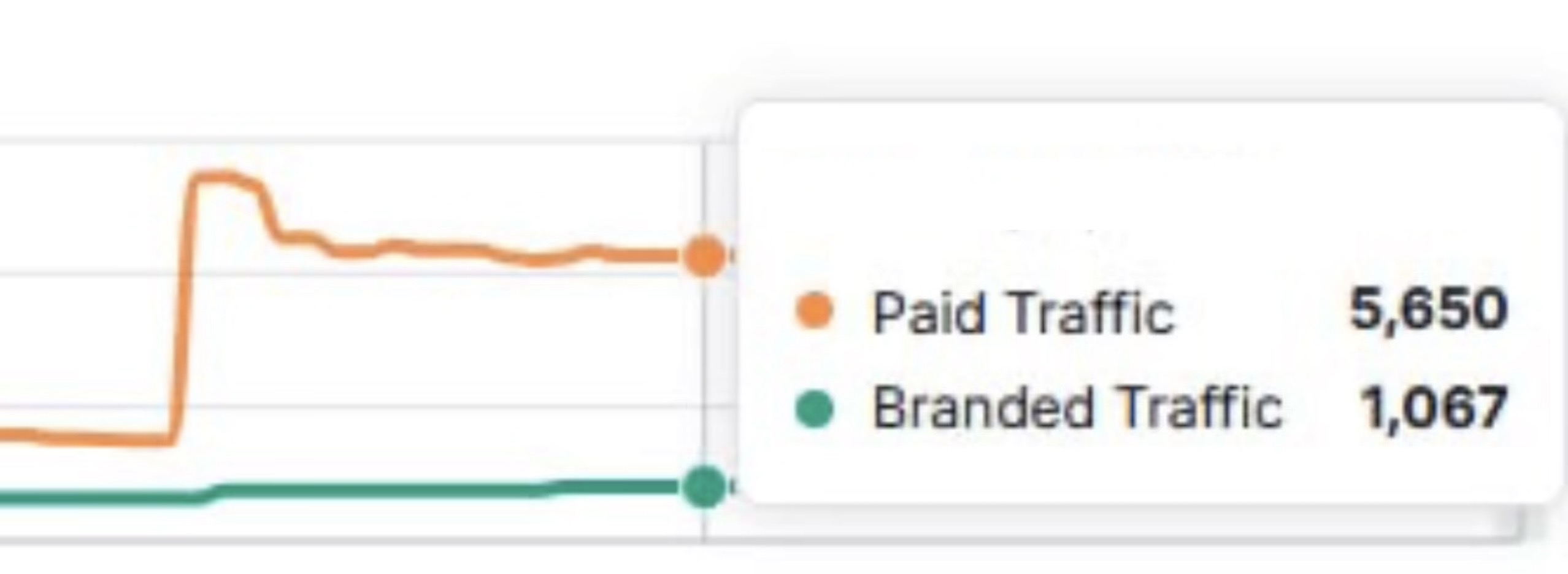 Paid traffic analytics